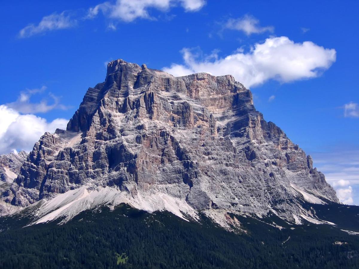 Hotel Belvedere Dolomiti Pieve di Cadore Exterior photo