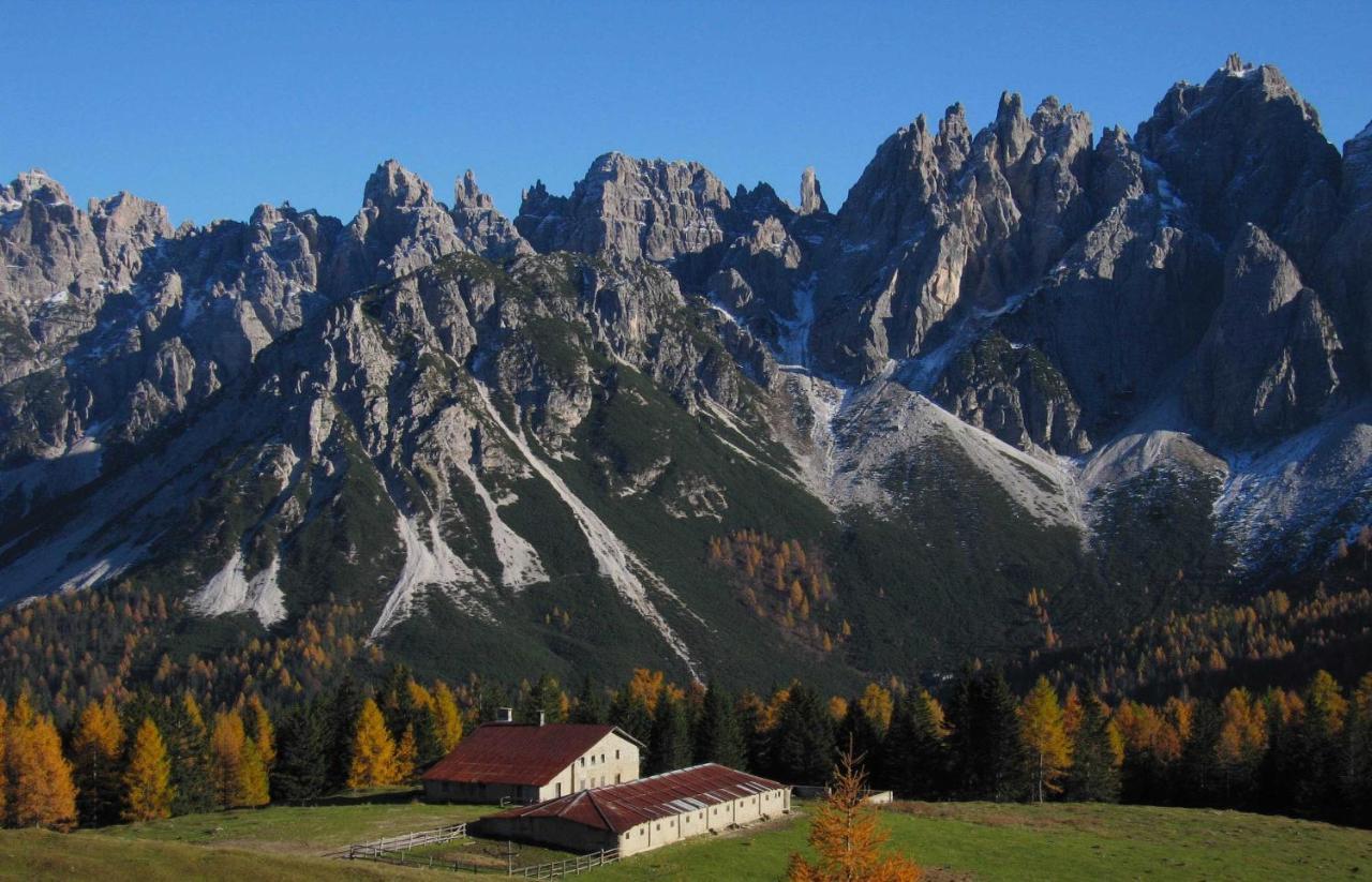 Hotel Belvedere Dolomiti Pieve di Cadore Exterior photo